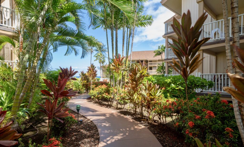 Sea Village walkway with trees surrounding it