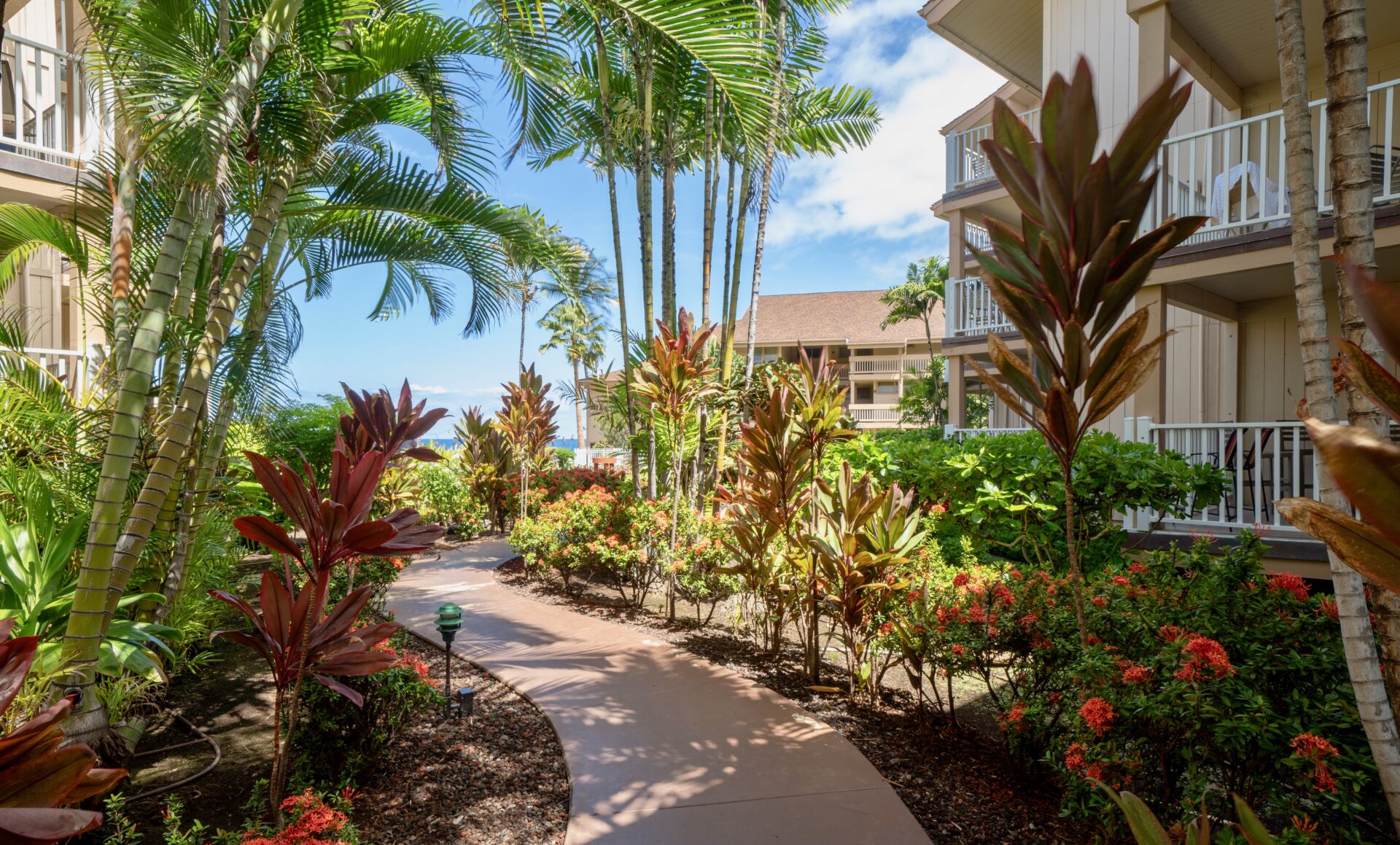Sea Village walkway with trees surrounding it