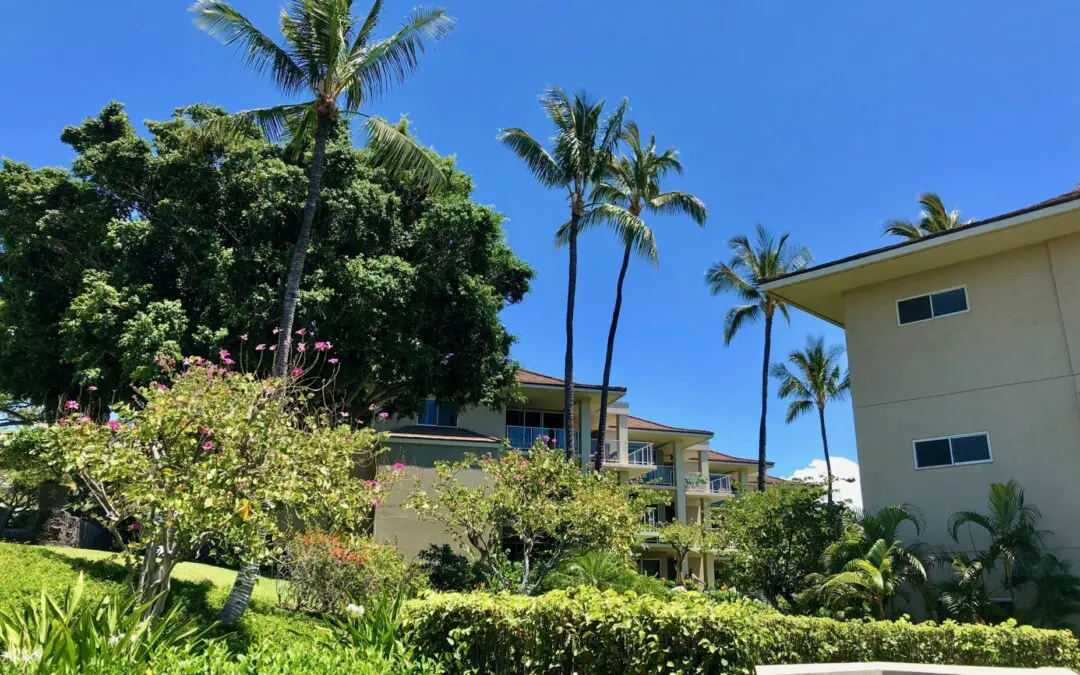 Vista Waikoloa