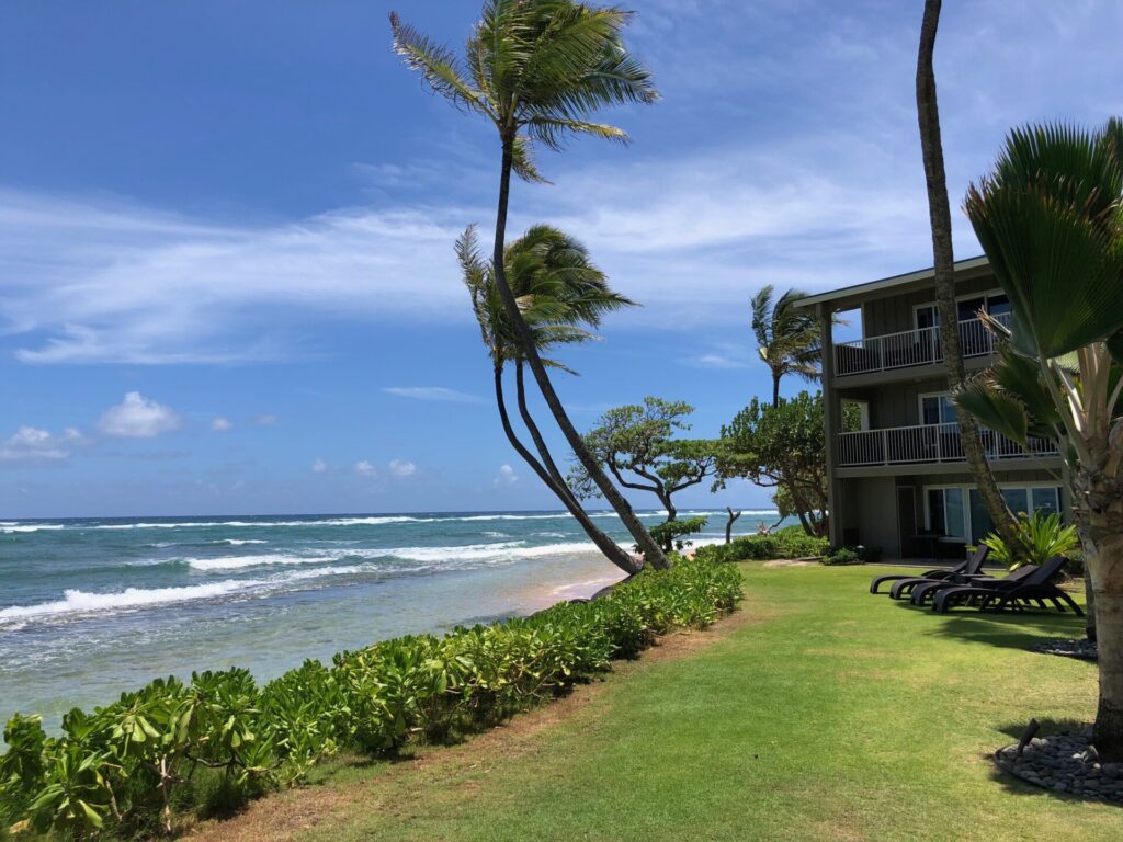 Kaua‘i Kailani ocean shore