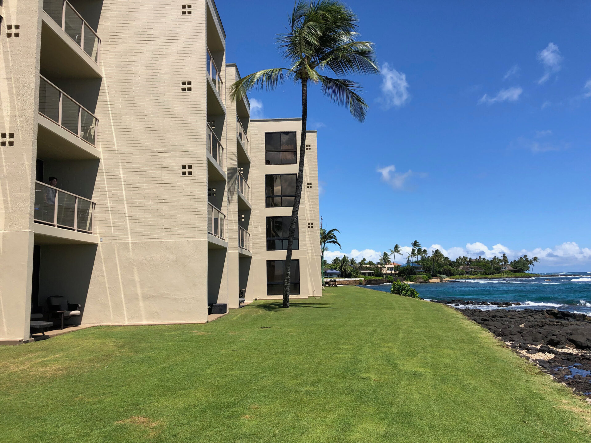 Kuhio Shores lawn