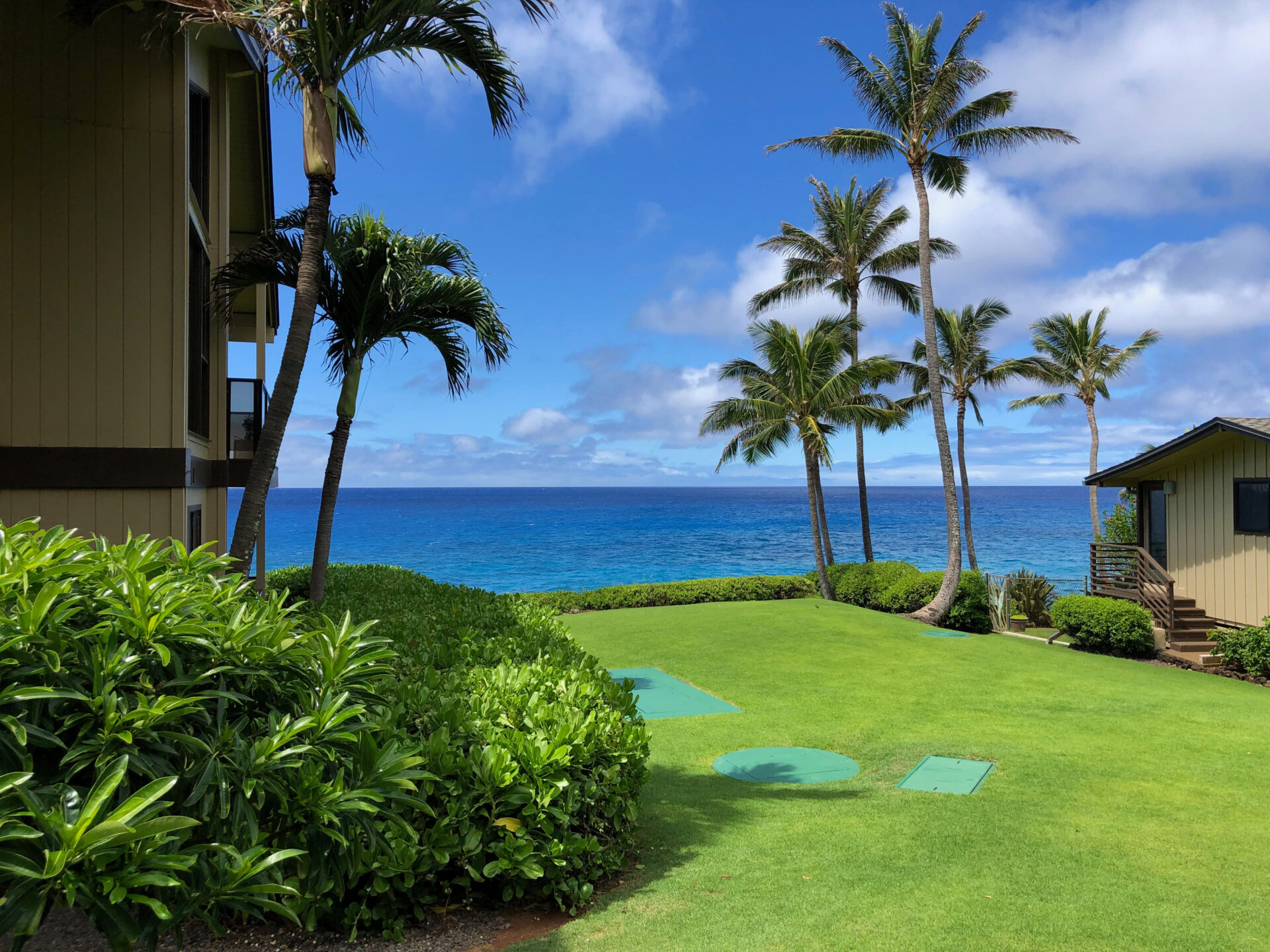 Makahuena at Poipu lawn area