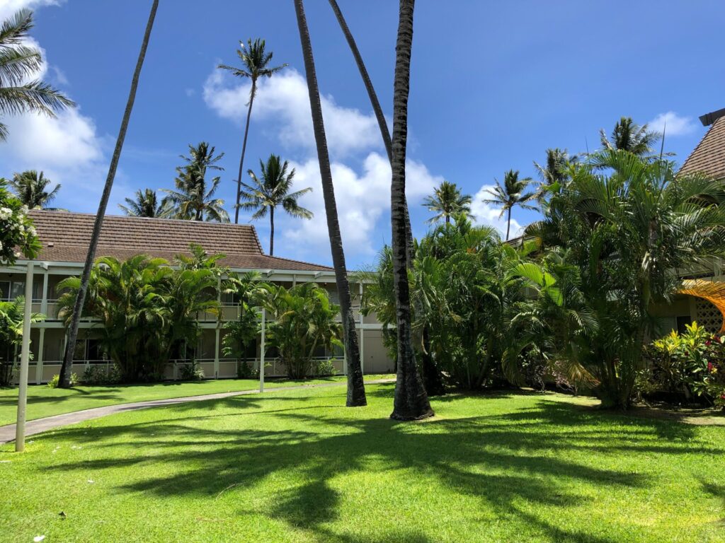 Plantation Hale Suites nature area