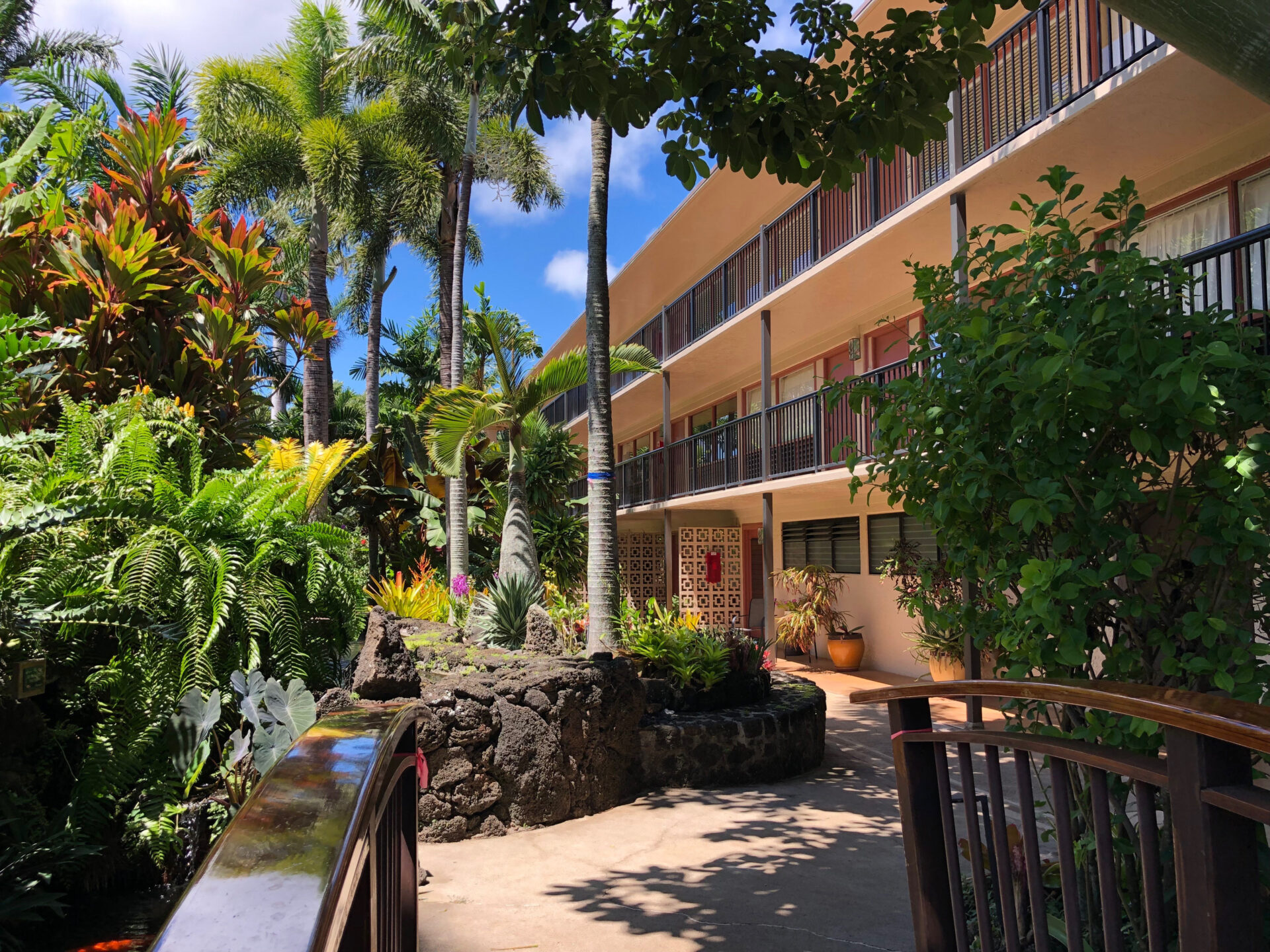 Prince Kuhio open area