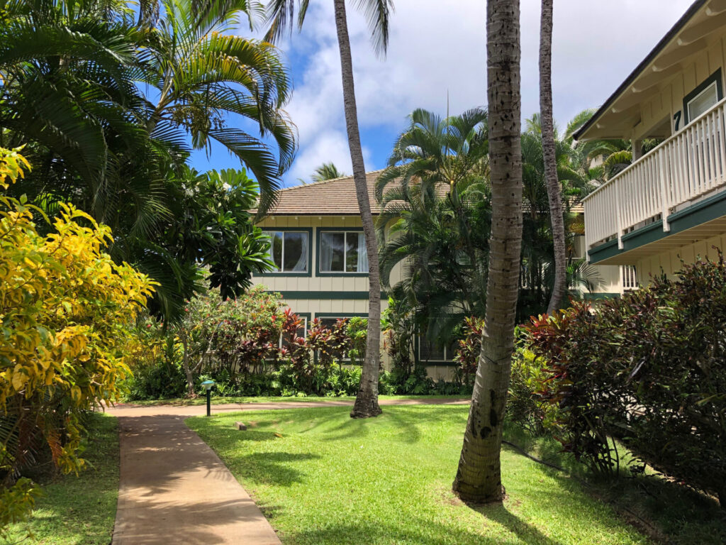 Regency II walkway with trees surrounding it
