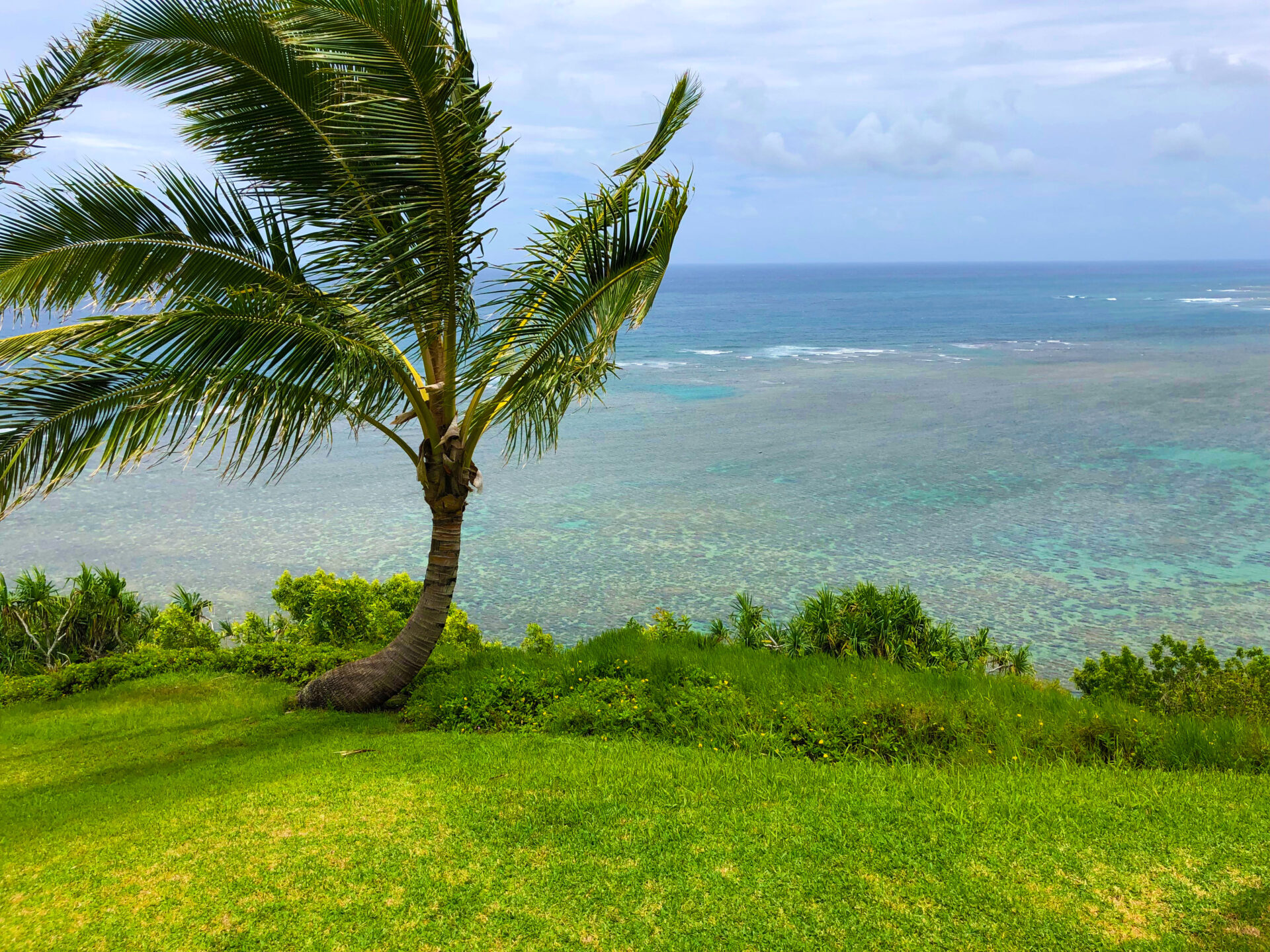 SeaLodge ocean view