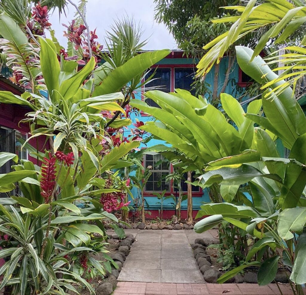 Banana Bungalow open area