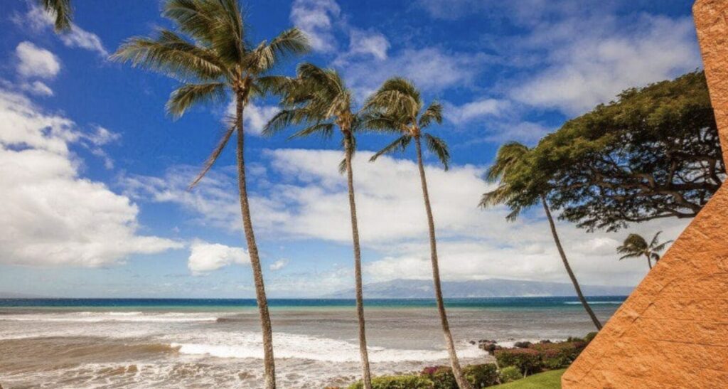 Kuleana Ocean shore view