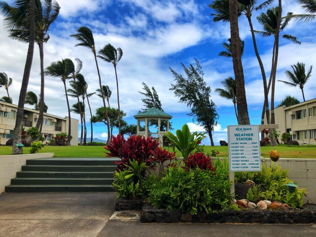 Maui Beach Hotel open area with a bright blue sky