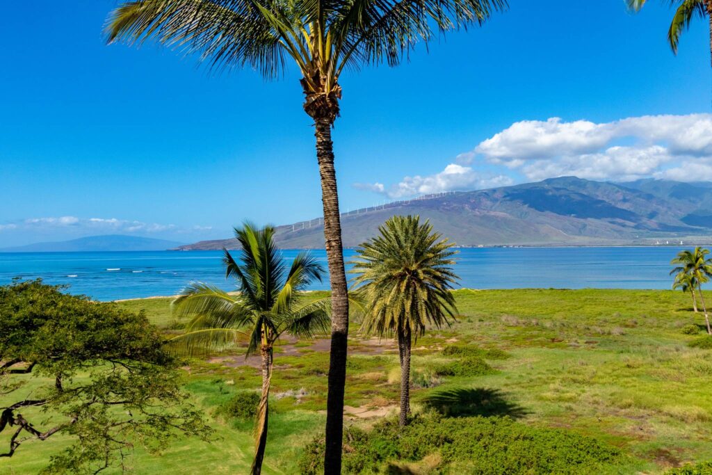 Village By The Sea (aka Kauhale Makai) beachside view with a nature grass area