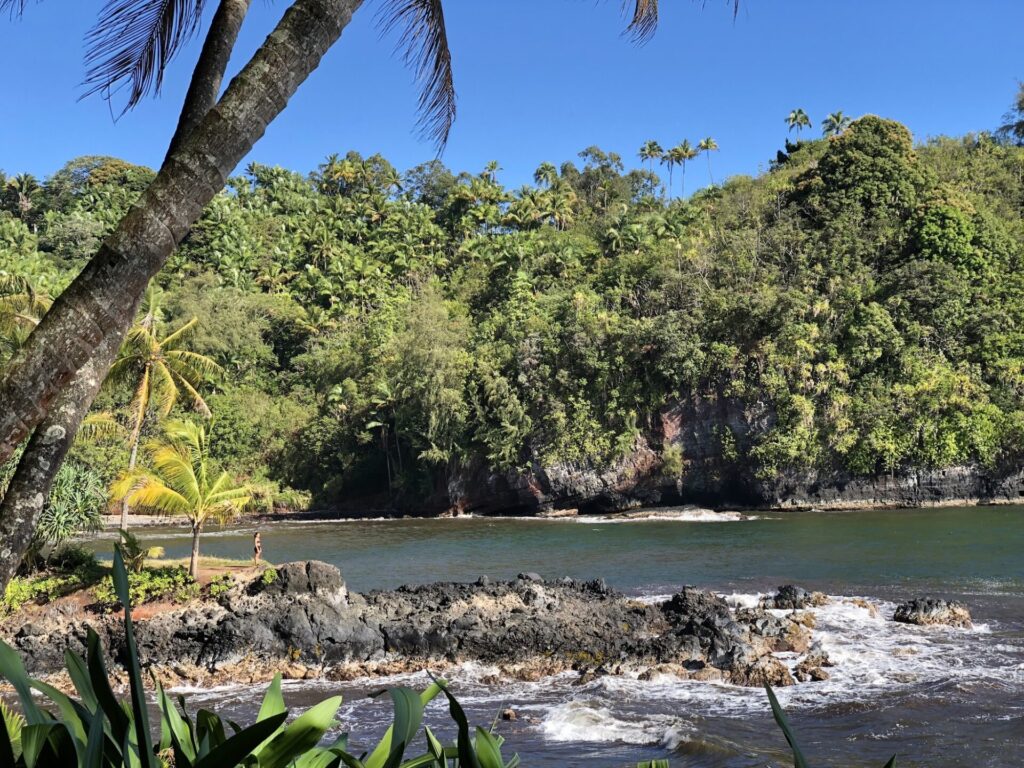 Hawaii's Big Island Tropical Beach shore with trees in the background