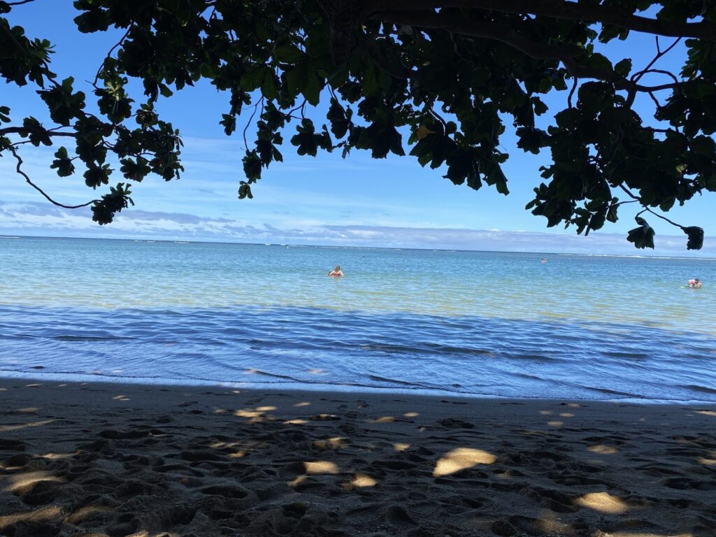 Anini Beach located in Kalihiwai, Hawaii