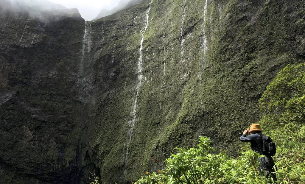 A man wearing a safari hat looking at the base of Mount Waialeale, known as the Blue Hole, as the Wailua Headwaters, which has a view of the falls cascading down the cliff face