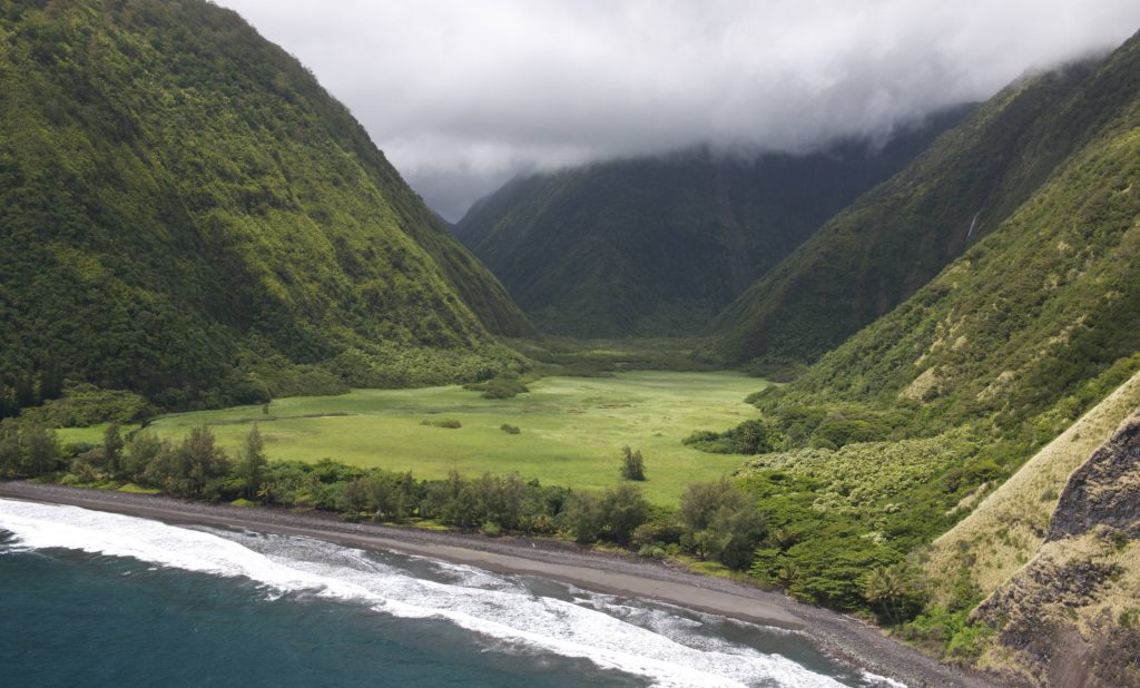 Waimanu Valley, nestled along the remote northeastern coastline of Hawaiʻi island, features the meandering Waimanu Stream and the picturesque Waihīlau Falls cascading down one of its tributaries.