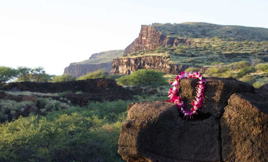 A pink Lei sitting on top of a rock that's on Lanai, a compact island that's a secluded tropical getaway island in Hawaii.