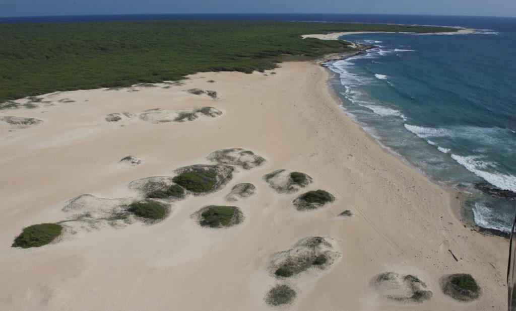 A beach shore of Ni'ihau, an island within Kauai County, Hawaii