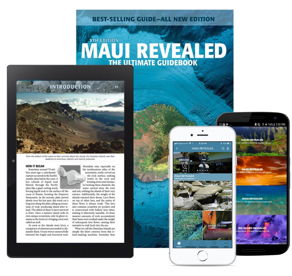 Maui-Group-Image