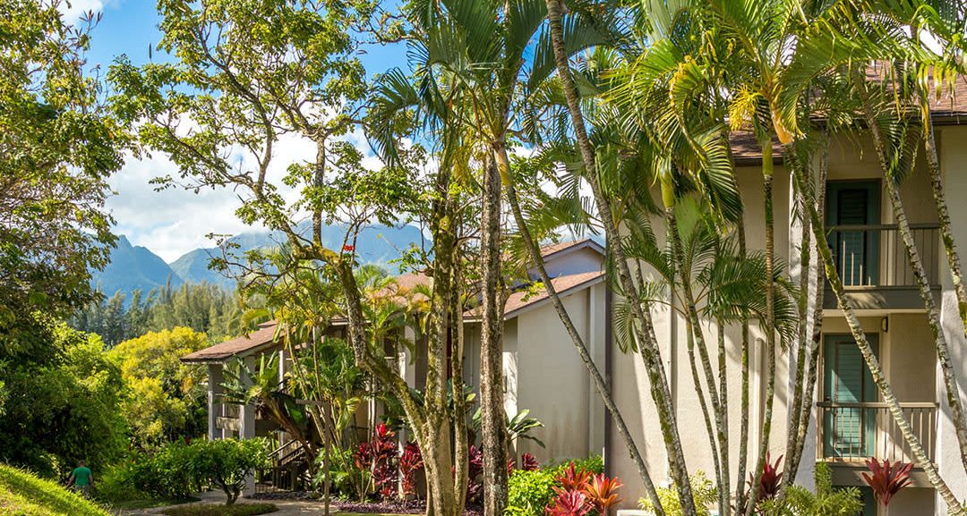 White Sands Hotel