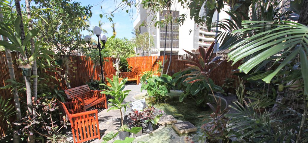 Oasis Hotel Waikiki open garden with various plants in the sun