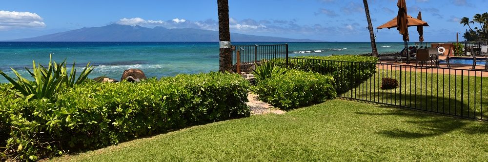 Hale Kai open nature area where you can see the ocean