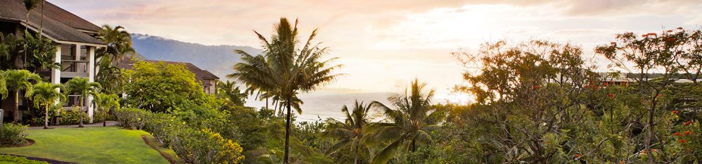 Hololani oceanside view