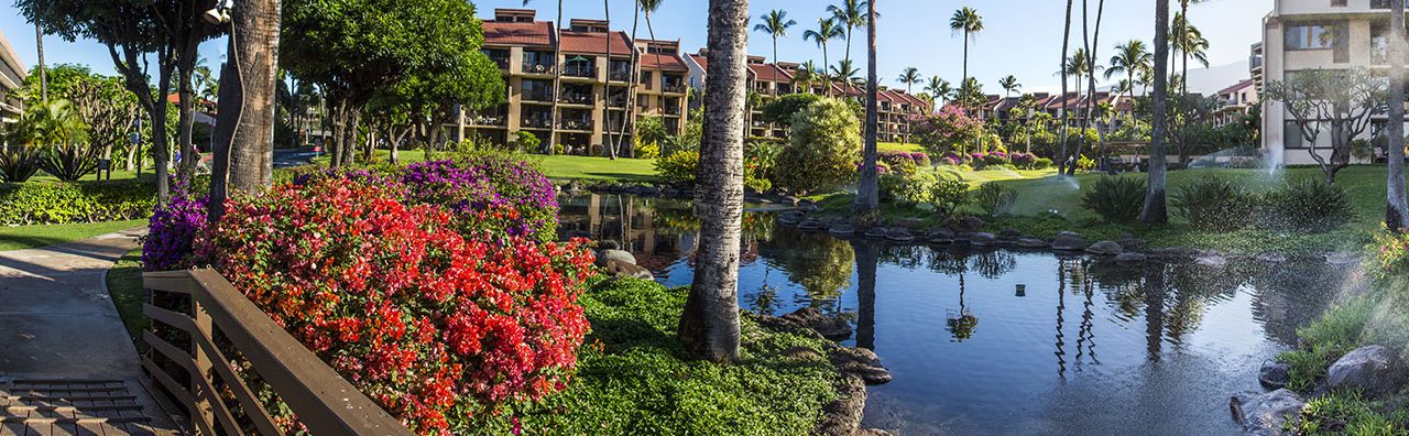 Kama‘ole Sands garden area with nature and pond