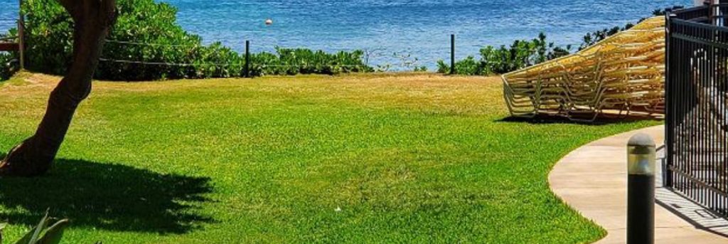 Kana‘i A Nalu lawn