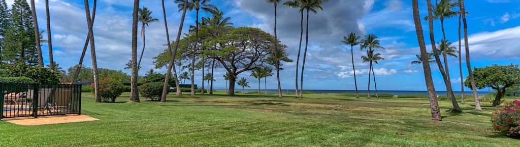 Leina‘ala Condominium grassy area