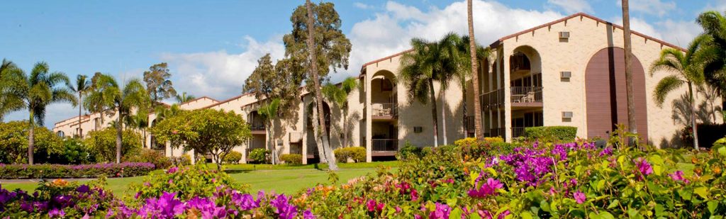 Full view of Maui Hill and nature surrounding it like bushes and flowers