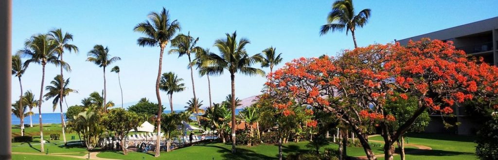 Far view sight of Maui Sunset