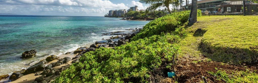 Mauian on Napili Bay ocean shore