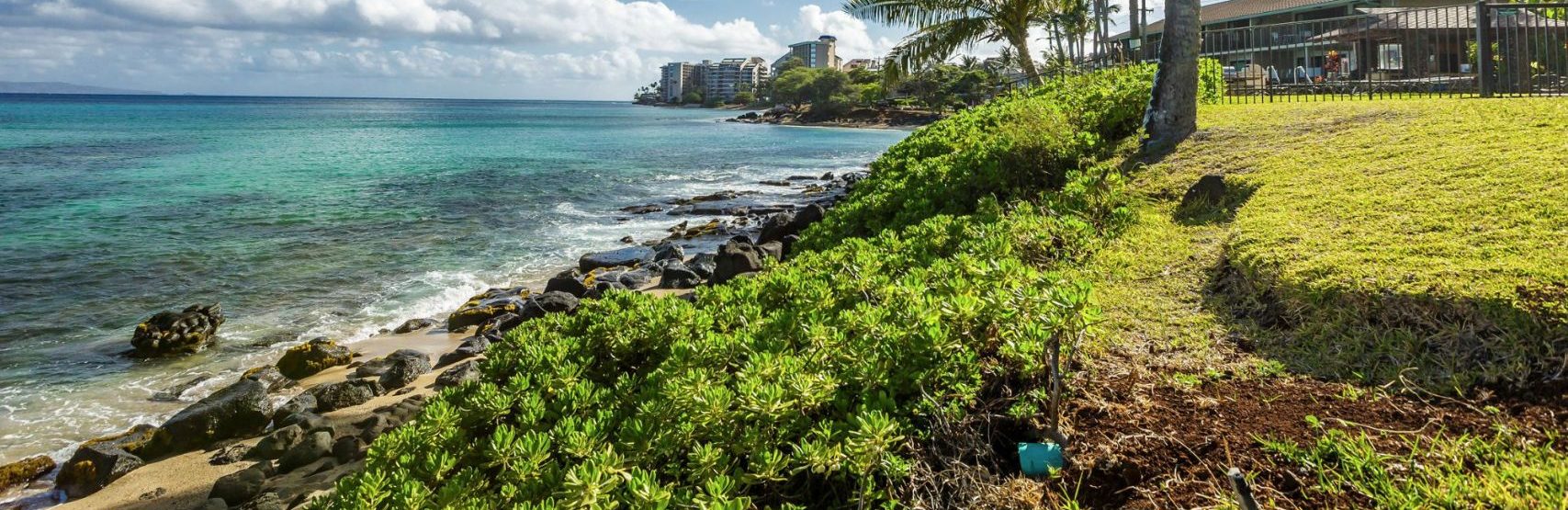 Mauian on Napili Bay ocean shore