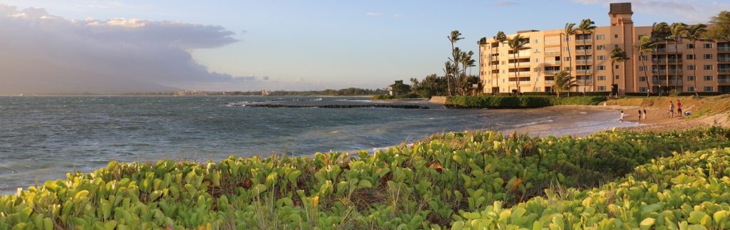 Menehune Shores viewed faraway with the beach and ocean in front view