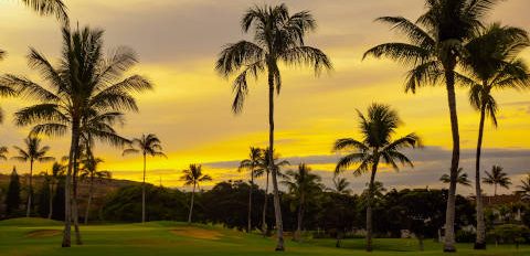 Waikiki Circle sunset