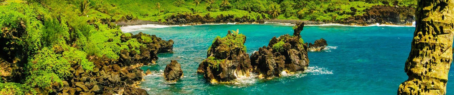 VILLAGE BY THE SEA (AKA KAUHALE MAKAI)