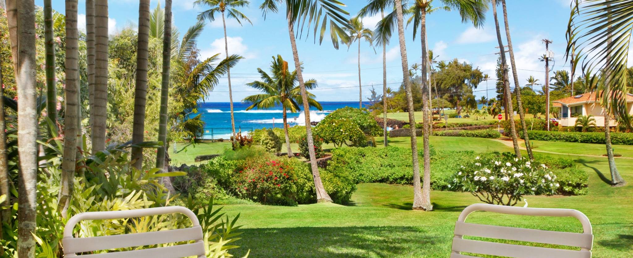 kona-reef Kona Reef
