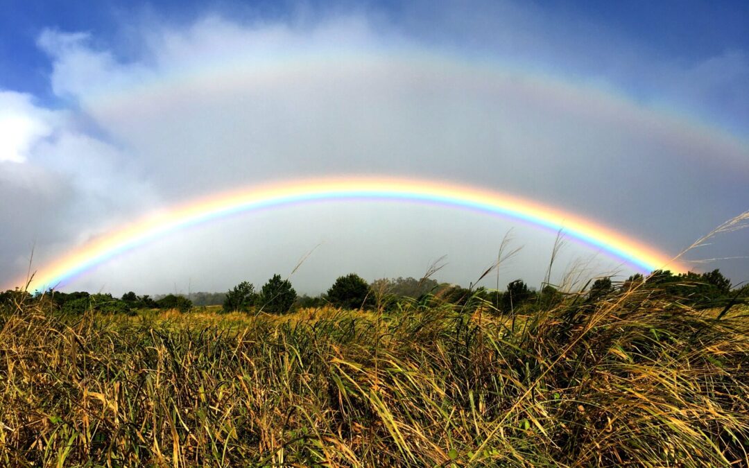 My Top Things To Do on Rainy Days in Hawai‘i