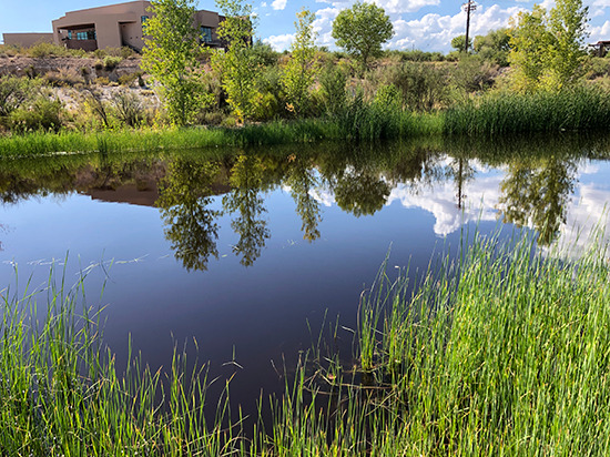 The Springs Preserve in Las Vegas is a 180-acre attraction that includes botanical gardens, museums, family events, traveling exhibits, trails, and more. 