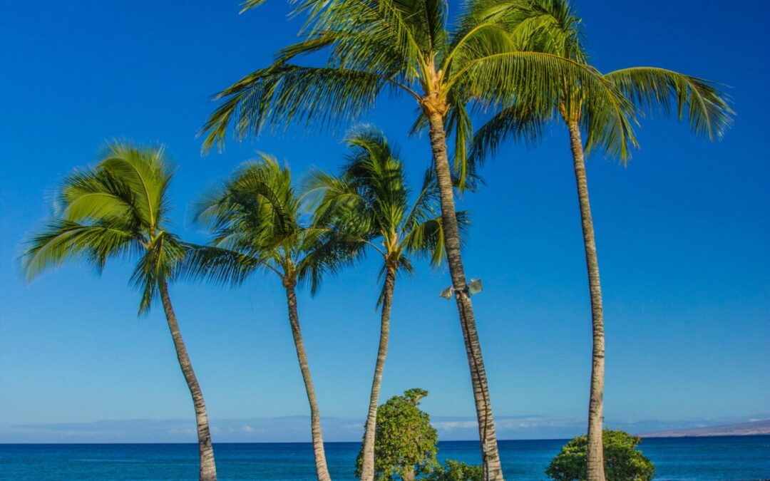 Hawaii for Introverts: Enjoy your Vacation Solo