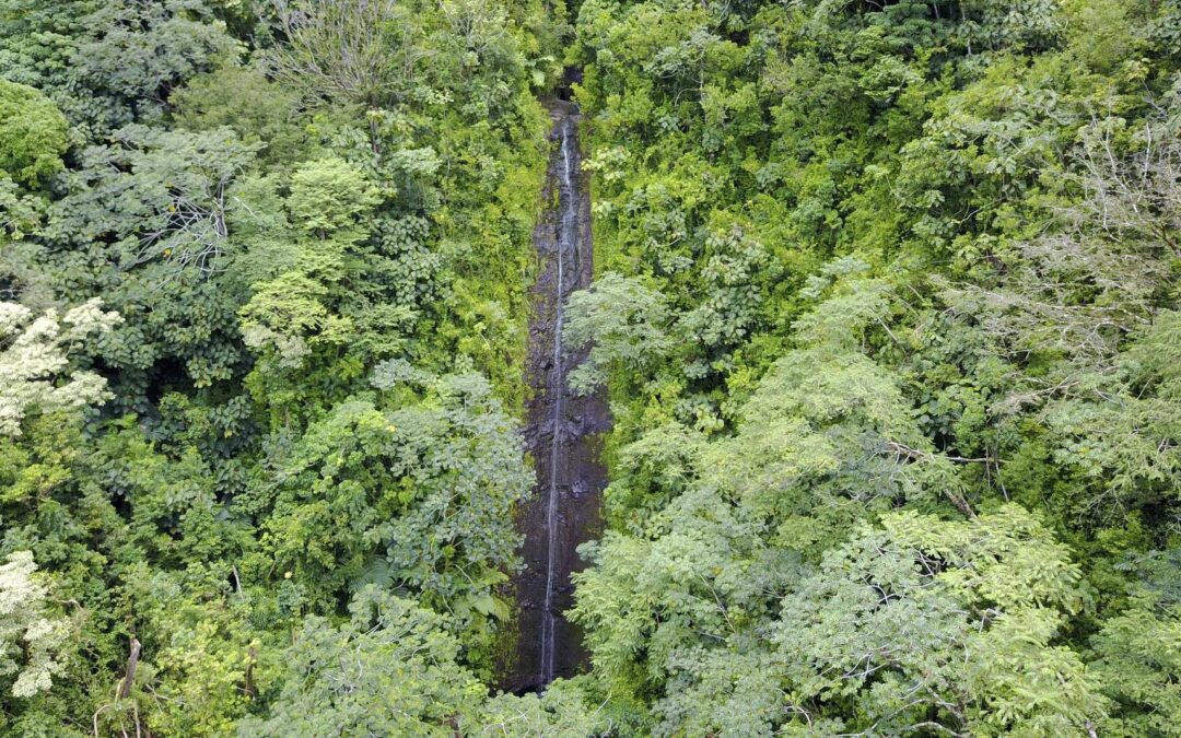 Oahu With Family: Short Hikes For Minimum Complaining