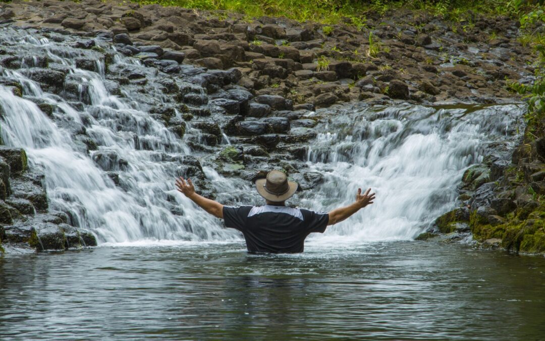 Thirty Years of Revealed Travel: Hawai‘i and Beyond