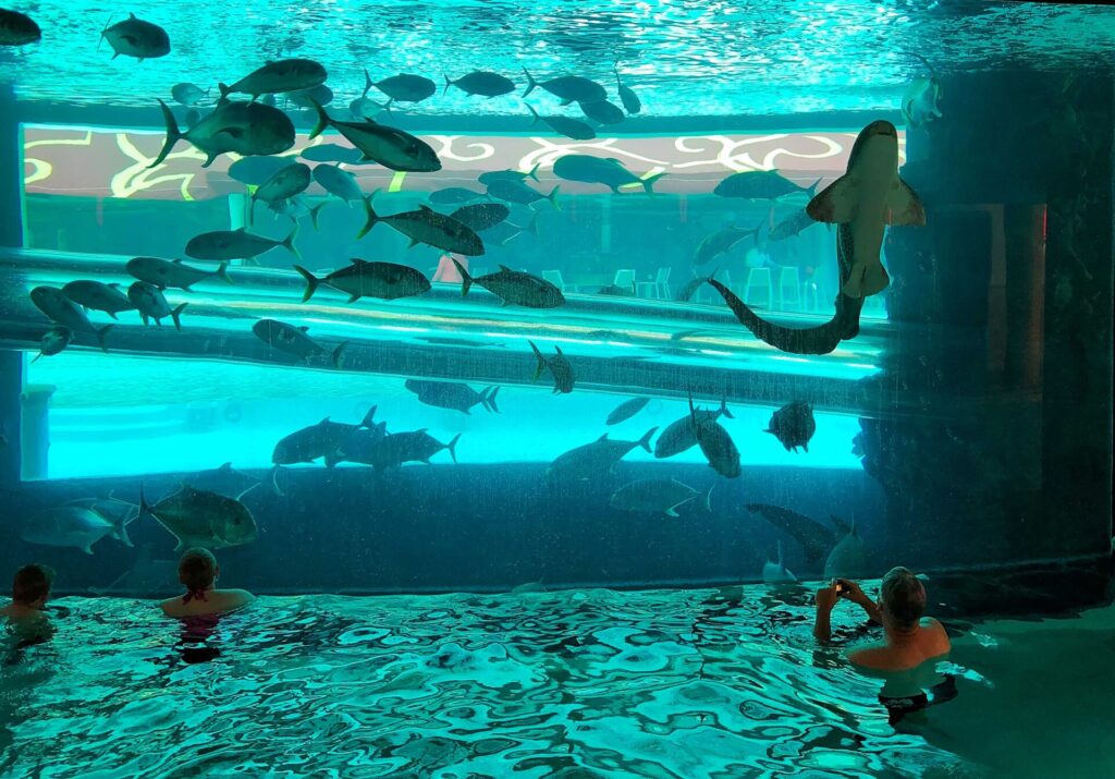 Take a water slide through a shark tank at the Golden Nugget.