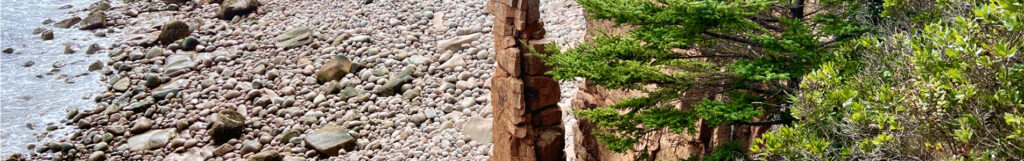 Acadia National Park Guide