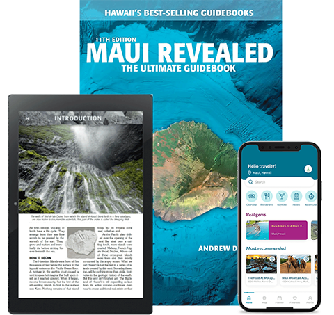 Maui-Group-Image