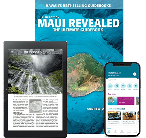 Maui-Group-Image