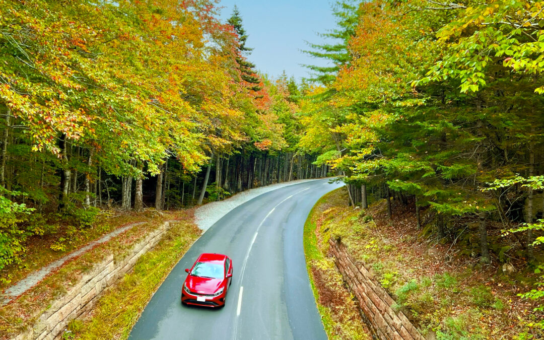 National Parks Revealed: New Drive Tours