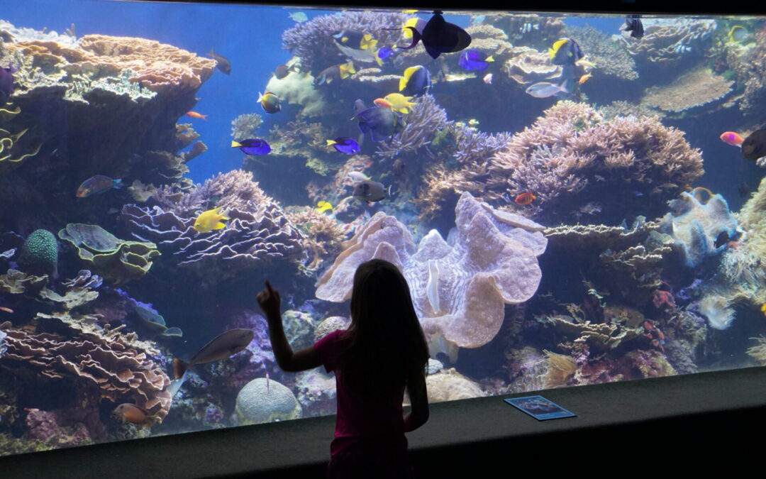 5 Ways to Meet Animals in Hawaii Without Getting in the Water