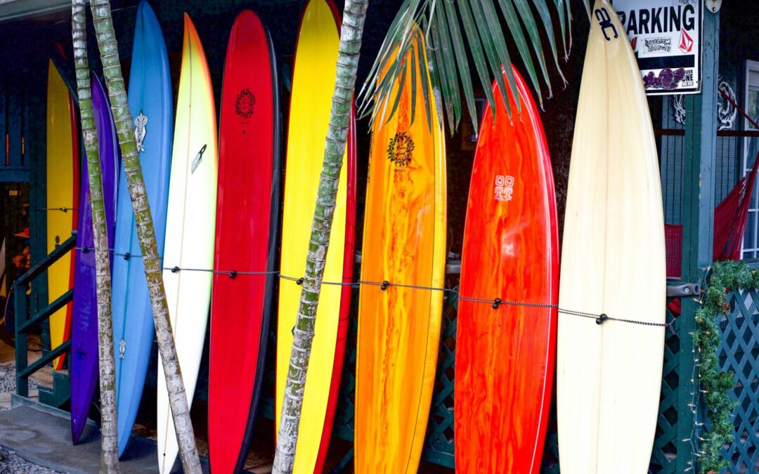 Surfing 102: Shapes of Boards and Fins and Why It Matters