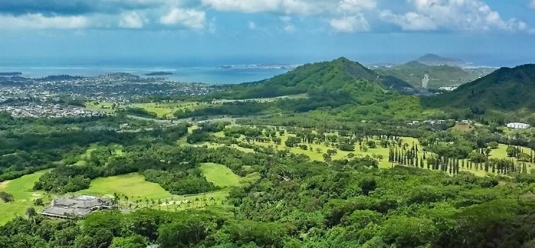 Invasive Species, a Visitor Hawaii Doesn’t Want