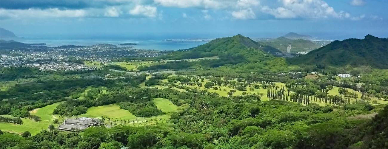 Hawaiian ecosystems are under dire threat from numerous invasive species